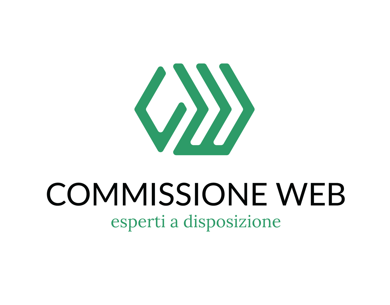 COMMISSIONE WEB